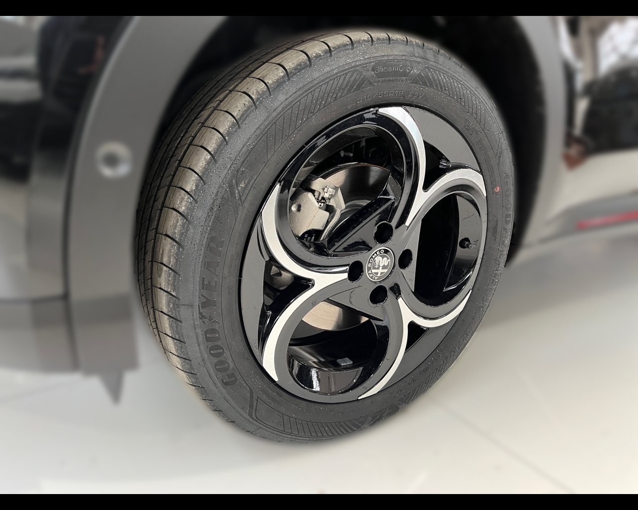 Alfa Romeo Junior Nuovo Ibrido benzina Junior Rovigo