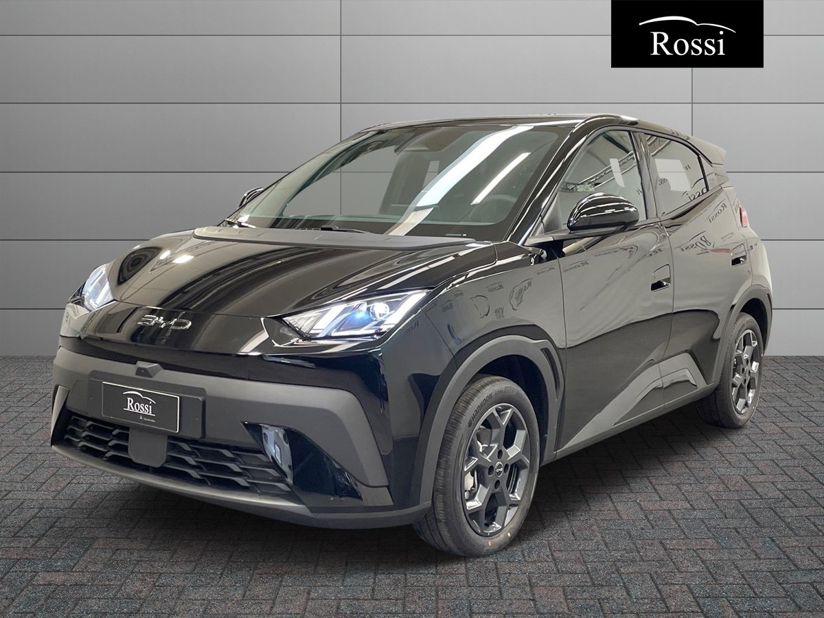 BYD BYD DOLPHIN SURF Comfort