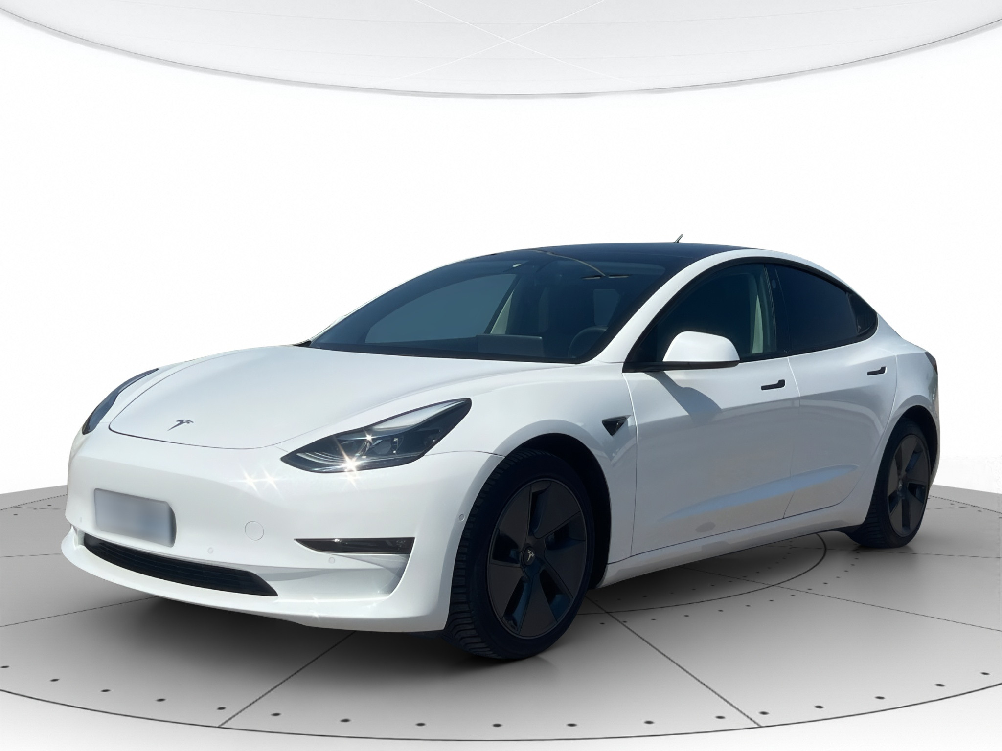 Tesla Model 3 Usato 2020 Model 3 Rovigo