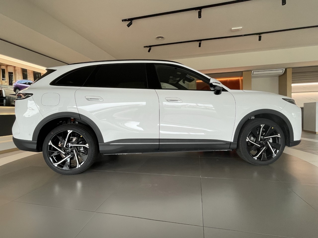 Lepas Lepas L8 L8 PHEV 1.5TGDI Elegance - 6