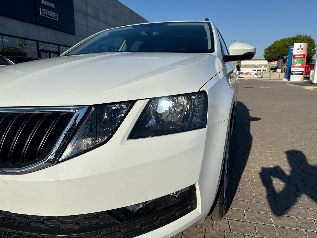 Skoda Octavia Usato 2019 Octavia Padova