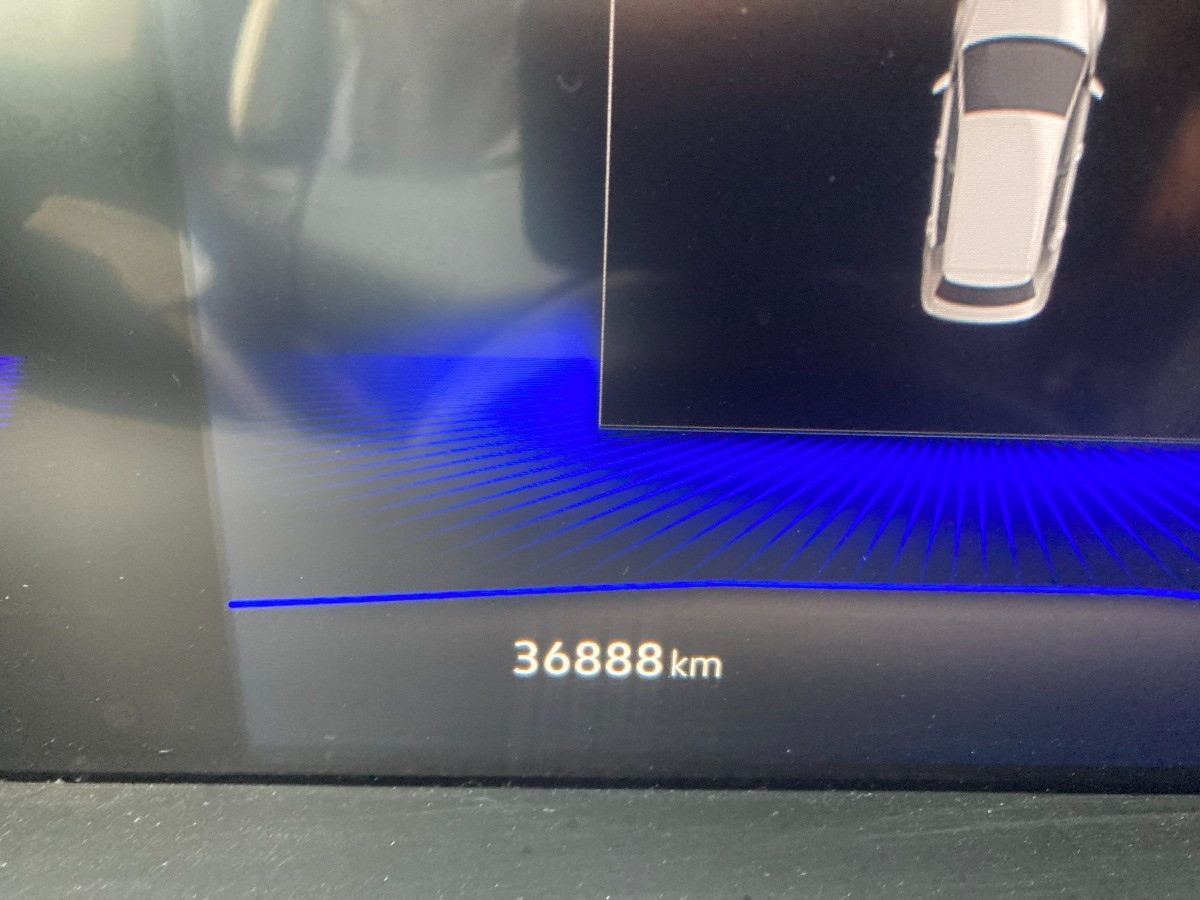 Volkswagen T-Roc Usato 2022 T-Roc Modena