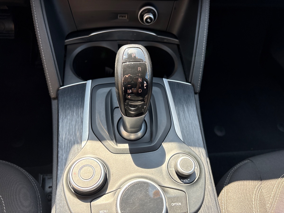 Alfa Romeo Stelvio Usato 2019 Stelvio Rovigo