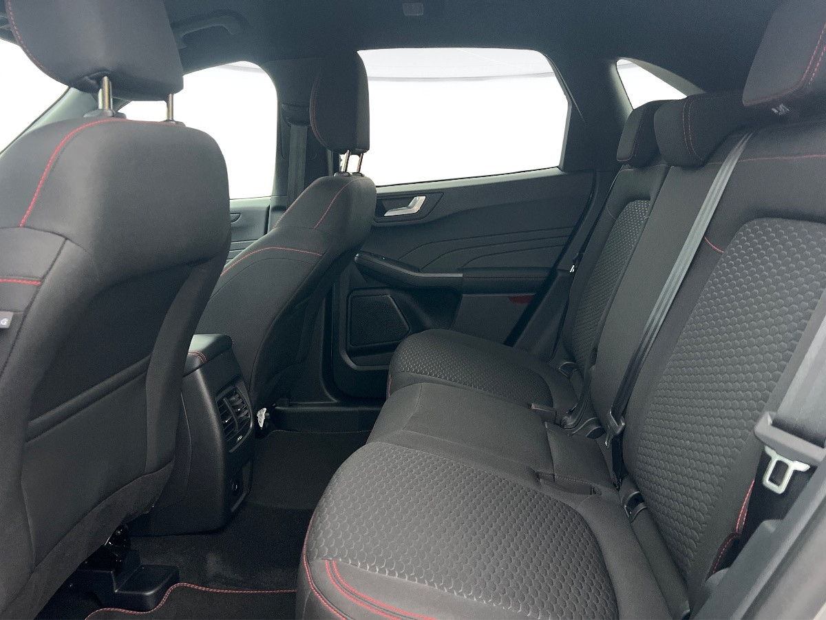 Ford Kuga Usato 2024 Kuga Rovigo