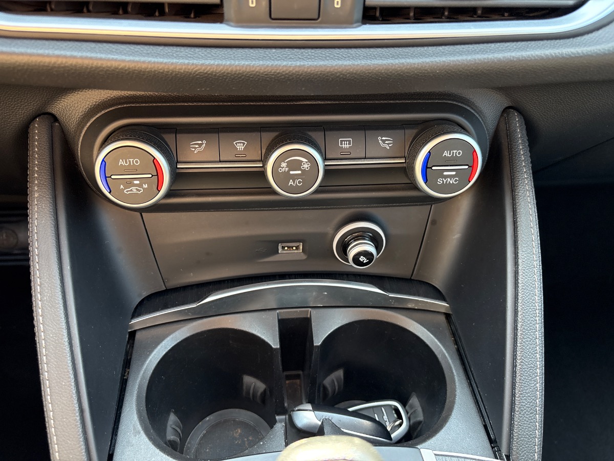 Alfa Romeo Stelvio Usato 2019 Stelvio Rovigo